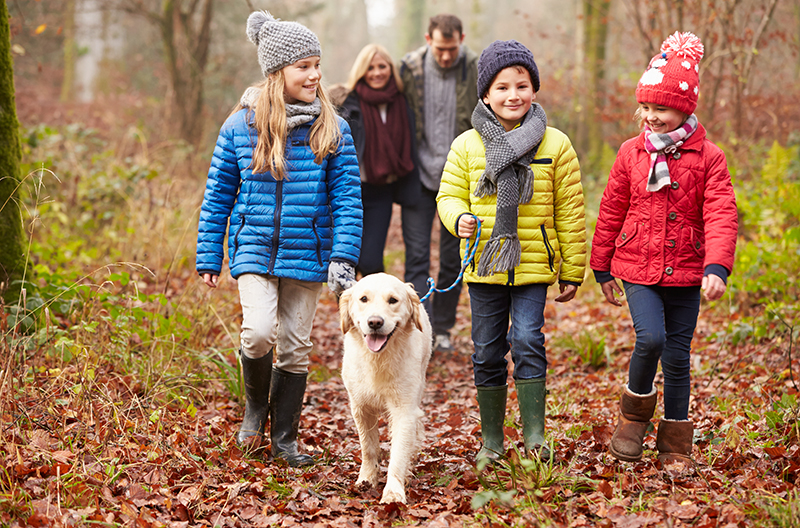 Walking for Exercise