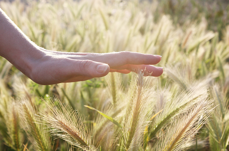 32 Things You Should Be Grateful For