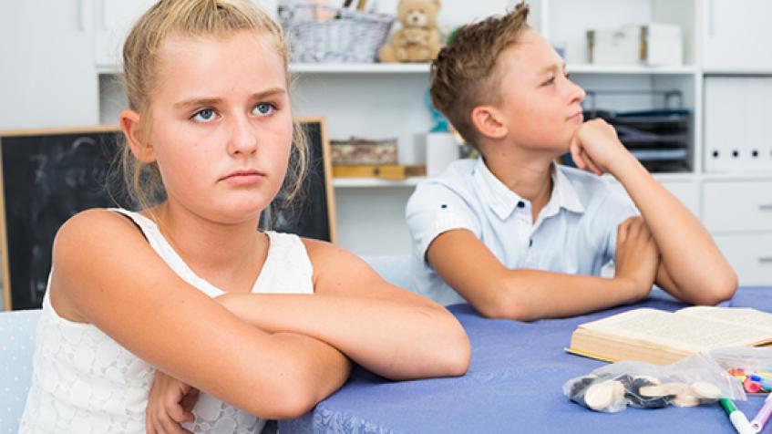 Supporting Siblings in a Family of Challenging Behaviours